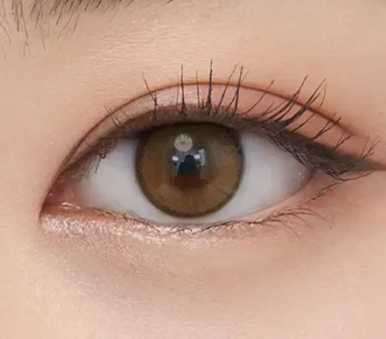 리얼링 토릭 브라운 [난시용]